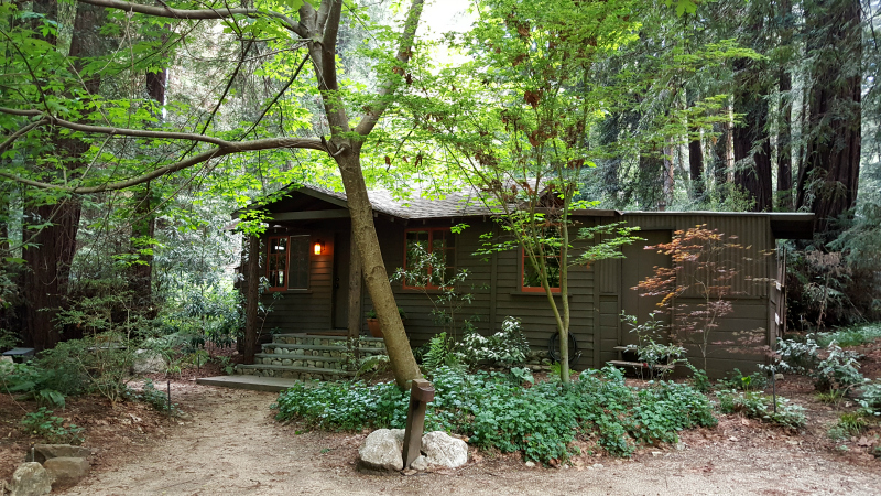 Big Sur Cabin in The Woods